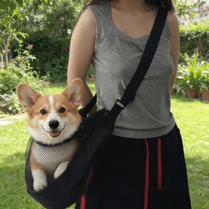 Travel Accessories Dog - 가볍고 통기성 좋은 메쉬 소재의 소형-중형