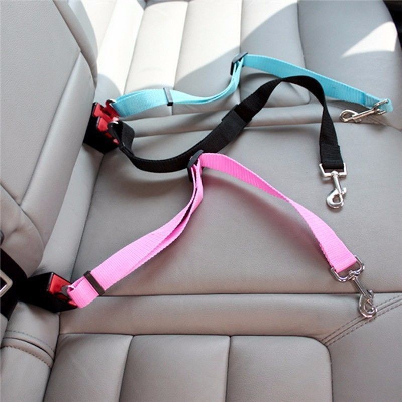 Travel Accessories Dog - 고양이 자동차 안전벨트 강아지 액세서리 조절