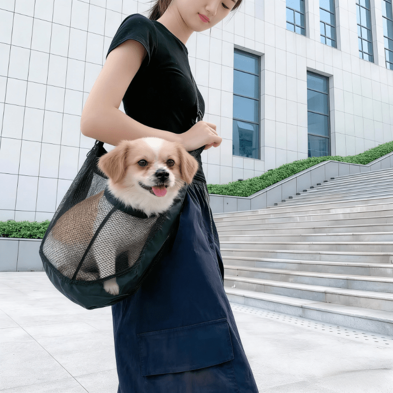 가볍고 통기성 좋은 메쉬 소재의 소형-중형 반려동물용  - Travel Accessories Dog 리뷰 및 가격