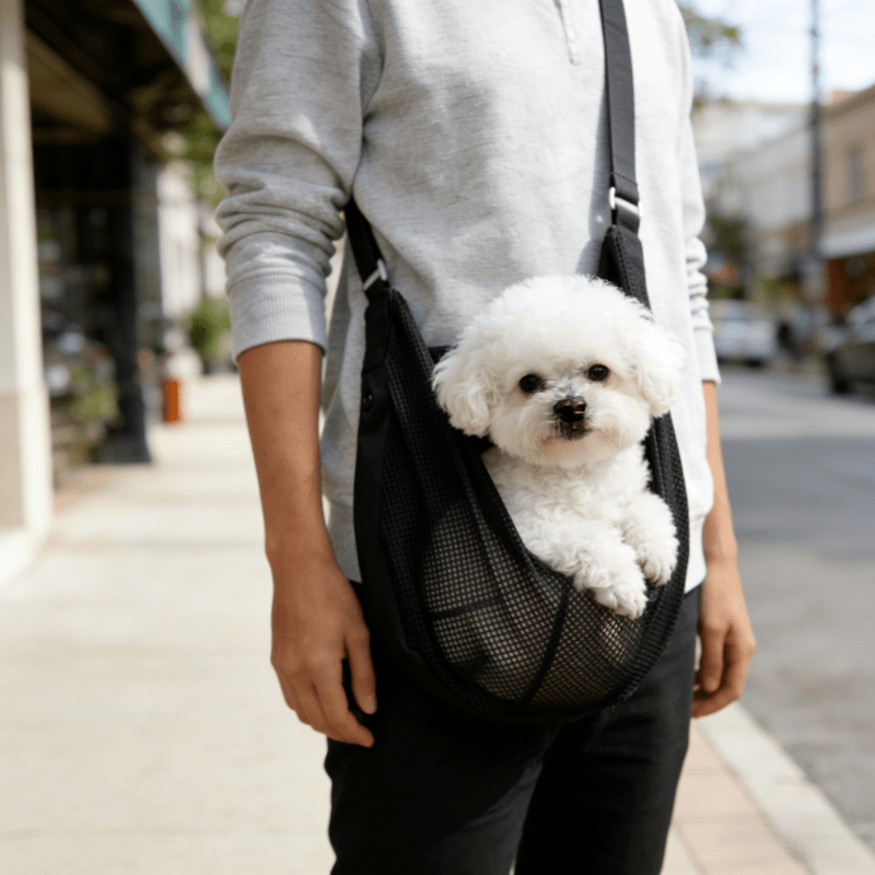 가볍고 통기성 좋은 메쉬 소재의 소형-중형 반려동물용  - Travel Accessories Dog 리뷰 및 가격