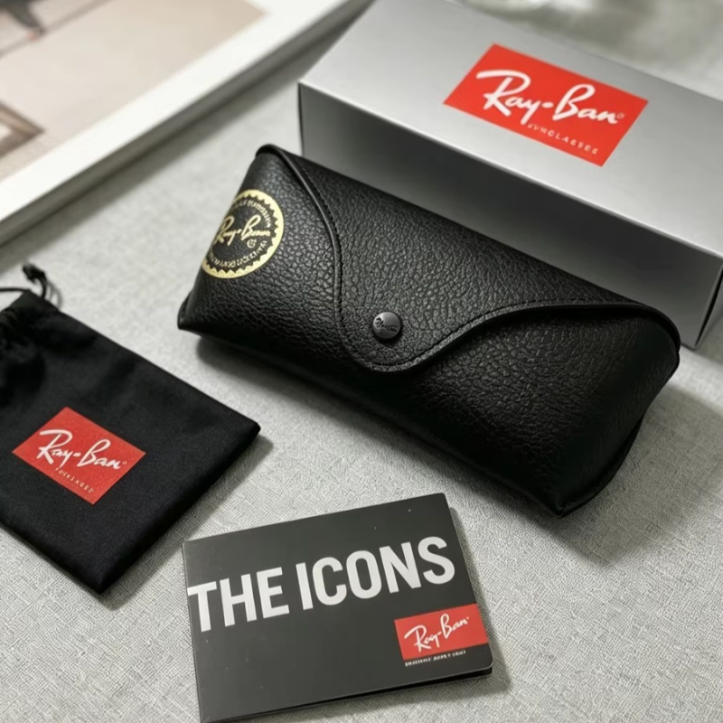 레이밴 가죽 선글라스 케이스 휴대용 스냅 파우치 안티  - Travel Accessories Pouch For Men 리뷰 및 가격